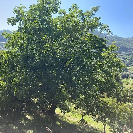 Σπίτι διακοπών Casa Do Salgueiral - Ponte De Lima - Viana Do Castelo Refoios do Lima