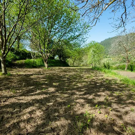 Σπίτι διακοπών Casa Do Salgueiral - Ponte De Lima - Viana Do Castelo Refoios do Lima