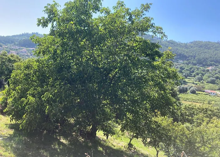 Hébergement de vacances Casa Do Salgueiral - Ponte De Lima - Viana Do Castelo Refoios do Lima