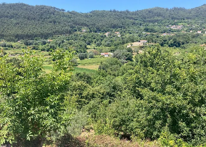 Casa Do Salgueiral - Ponte De Lima - Viana Do Castelo 別荘 Refoios do Lima