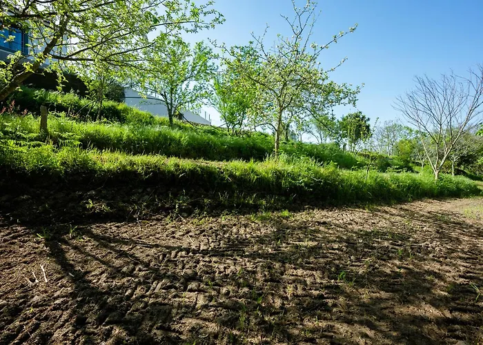 Casa Do Salgueiral - Ponte De Lima - Viana Do Castelo 別荘